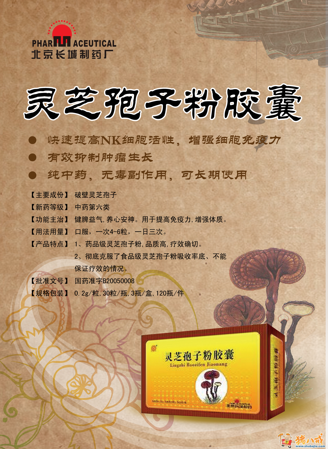 1000 药品"灵芝孢子粉胶囊"宣传彩页设计