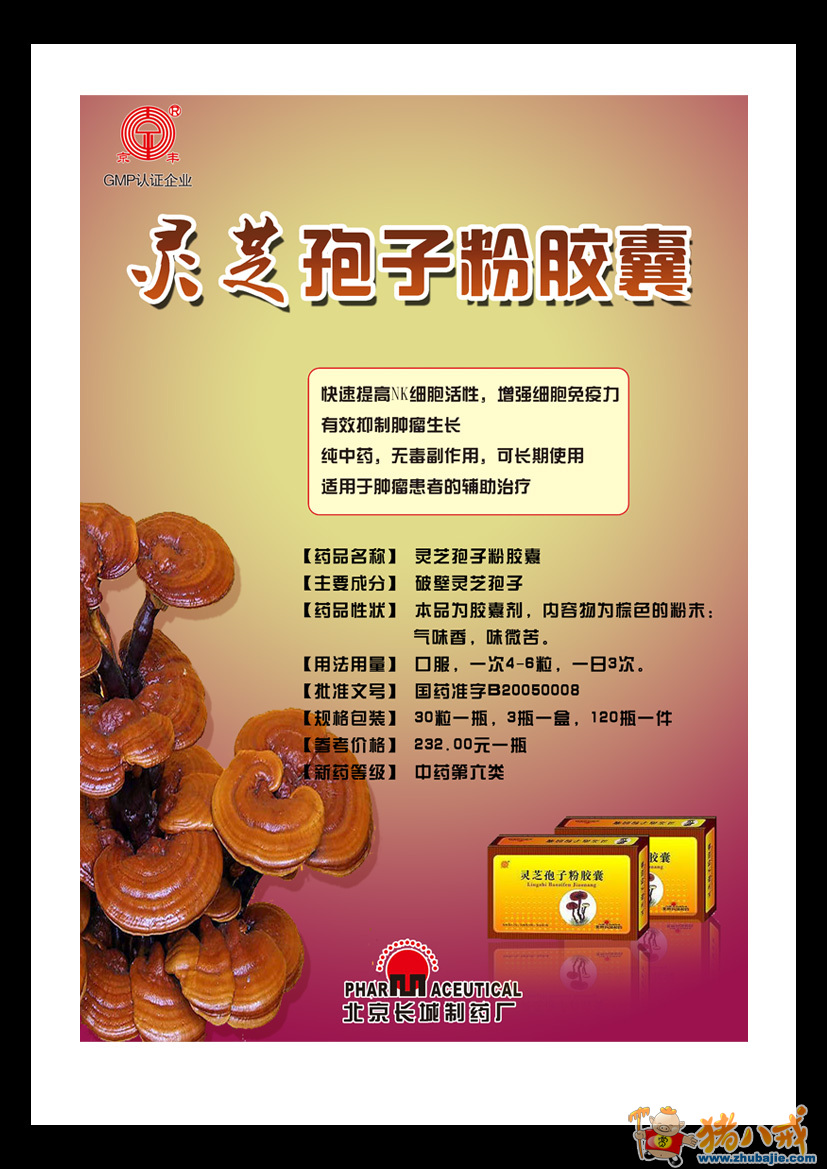 药品"灵芝孢子粉胶囊"宣传彩页设计 - 宣传册页 - 猪八戒网