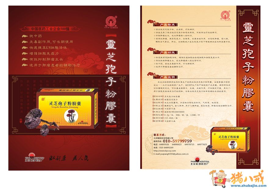 1000 药品"灵芝孢子粉胶囊"宣传彩页设计