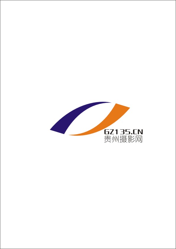 摄影网网站logo设计_急!