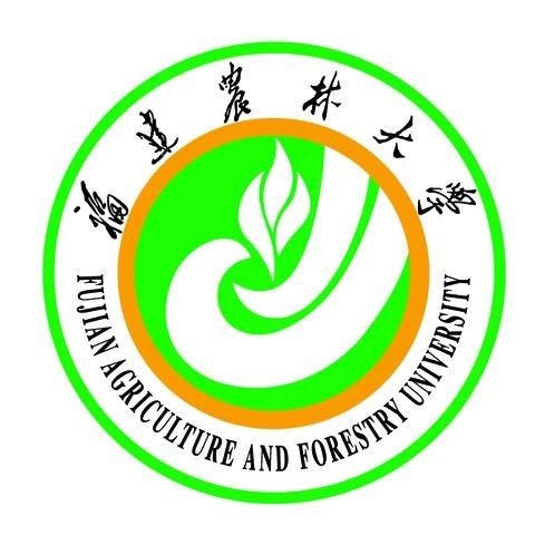 同学聚会t恤衫图案设计