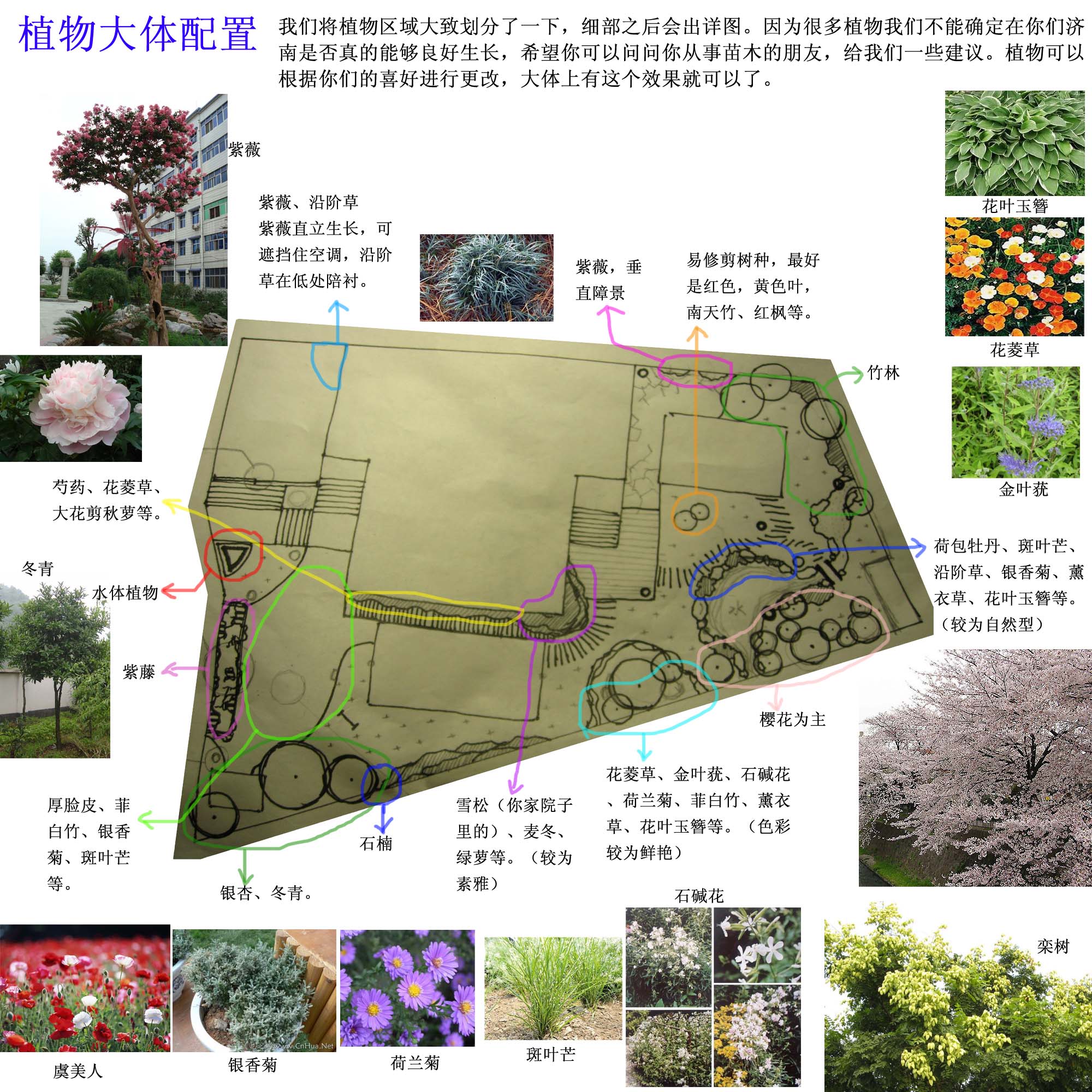 700私家庭院园林种植规划及装修设计图纸