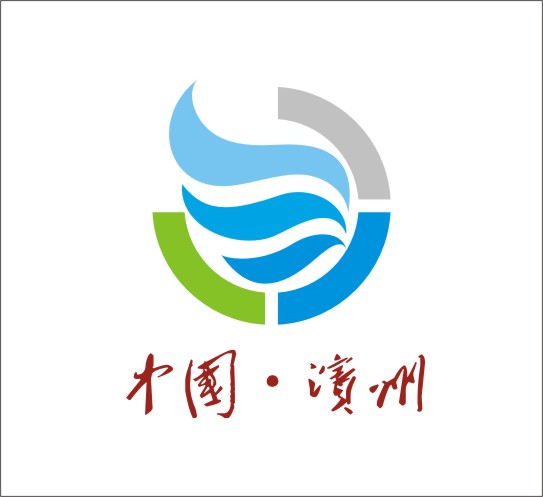 滨州市人民政府门户网站征集logo标志