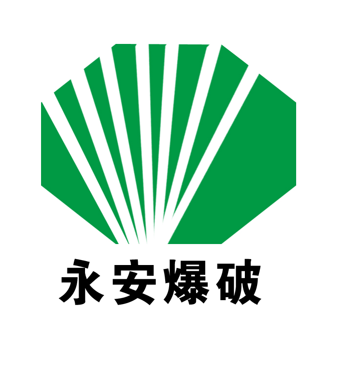 爆破公司 logo 设计第6629576号稿件
