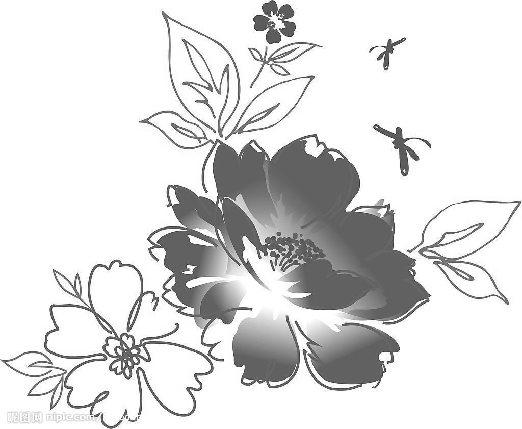 求黑白花矢量图