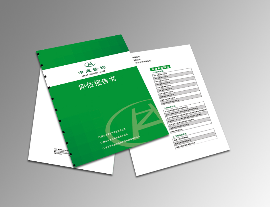 公司评估报告封面,封底,手提袋设计