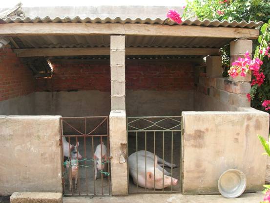 农村猪栏门图片图片