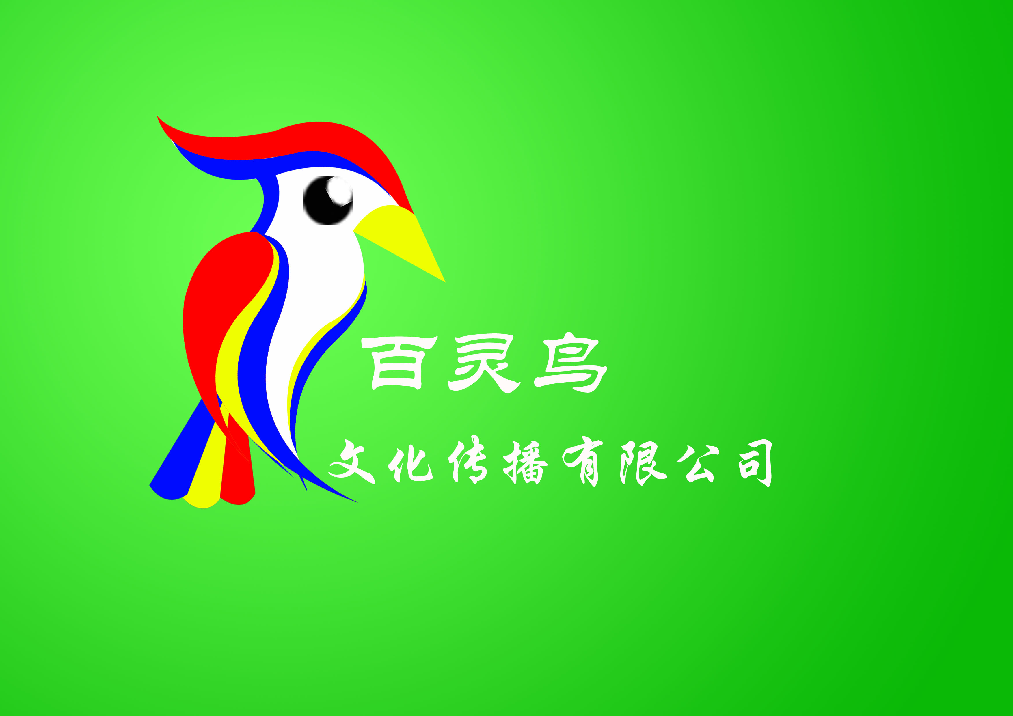500百灵鸟文化传播有限公司logo设计
